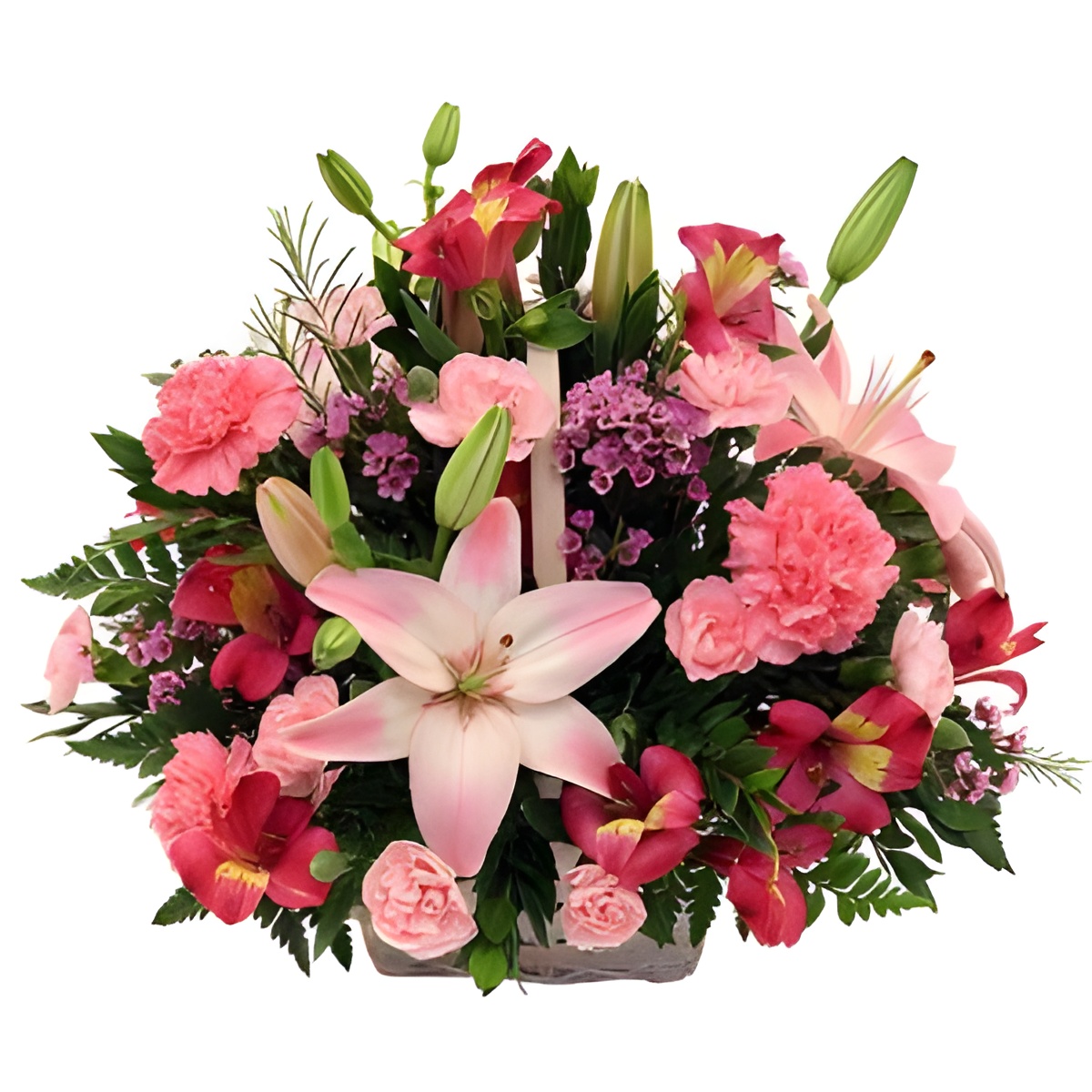 Pink Brindisi