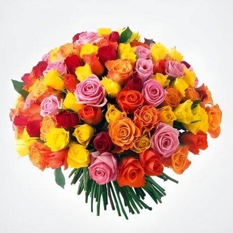 Rainbow Roses